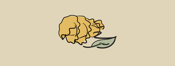 Campanelle, Kale Pesto, Roasted Cherry Tomatoes, Pecorino Romano – Caffe La Tana